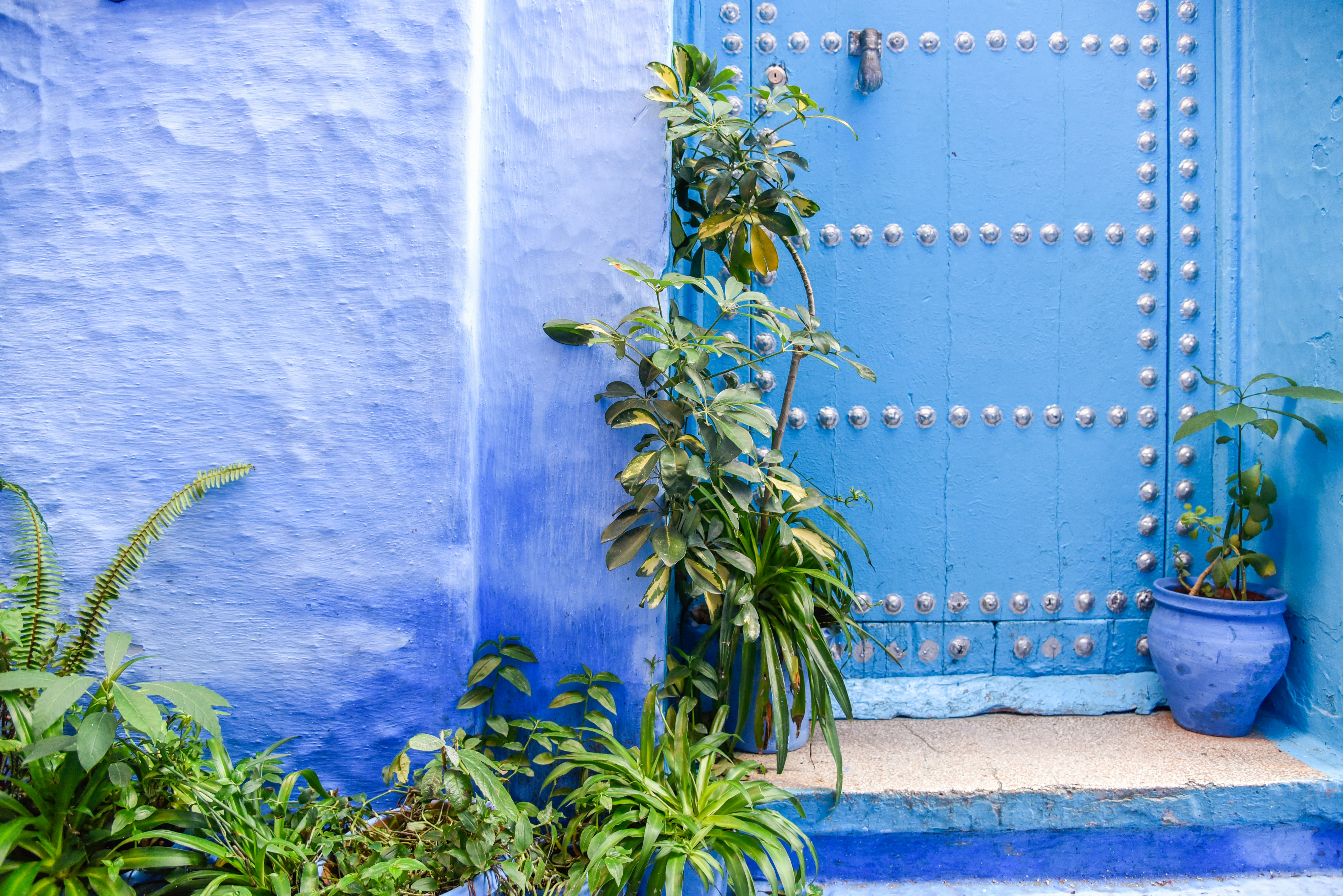 Introducing Ecological Practices into Moroccan Homes: Simple Steps for Big Impact
