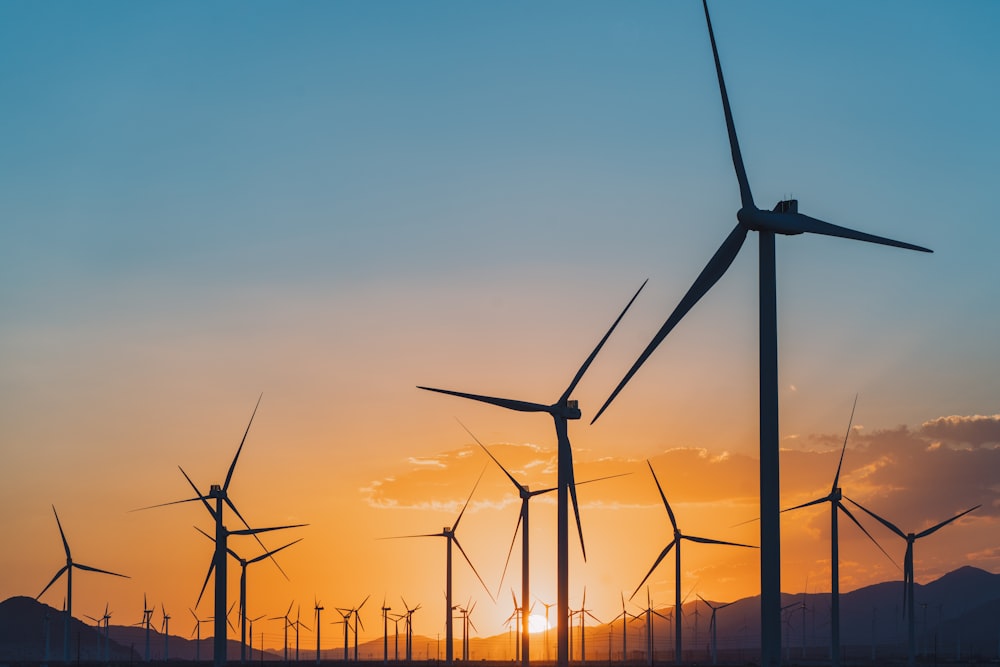 a group of windmills are silhouetted against a sunset