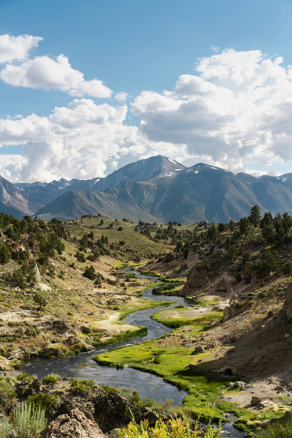 a river running through a lush green valley