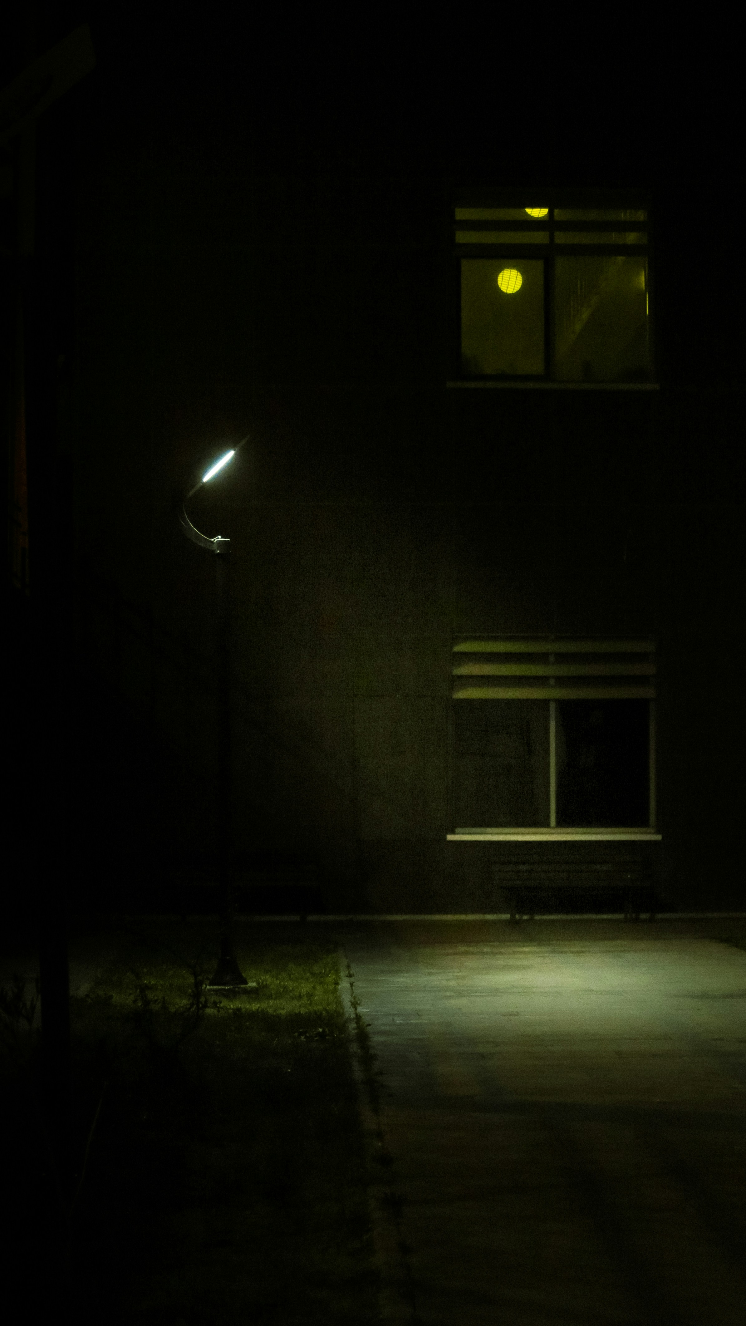 Photo by bilalfurkankosar