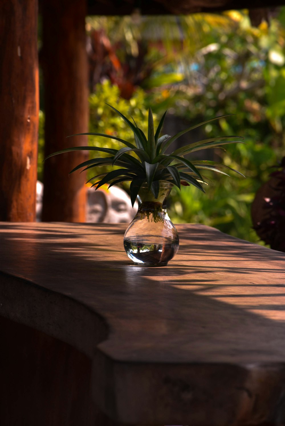 uma planta em um vaso sentada em uma mesa de madeira