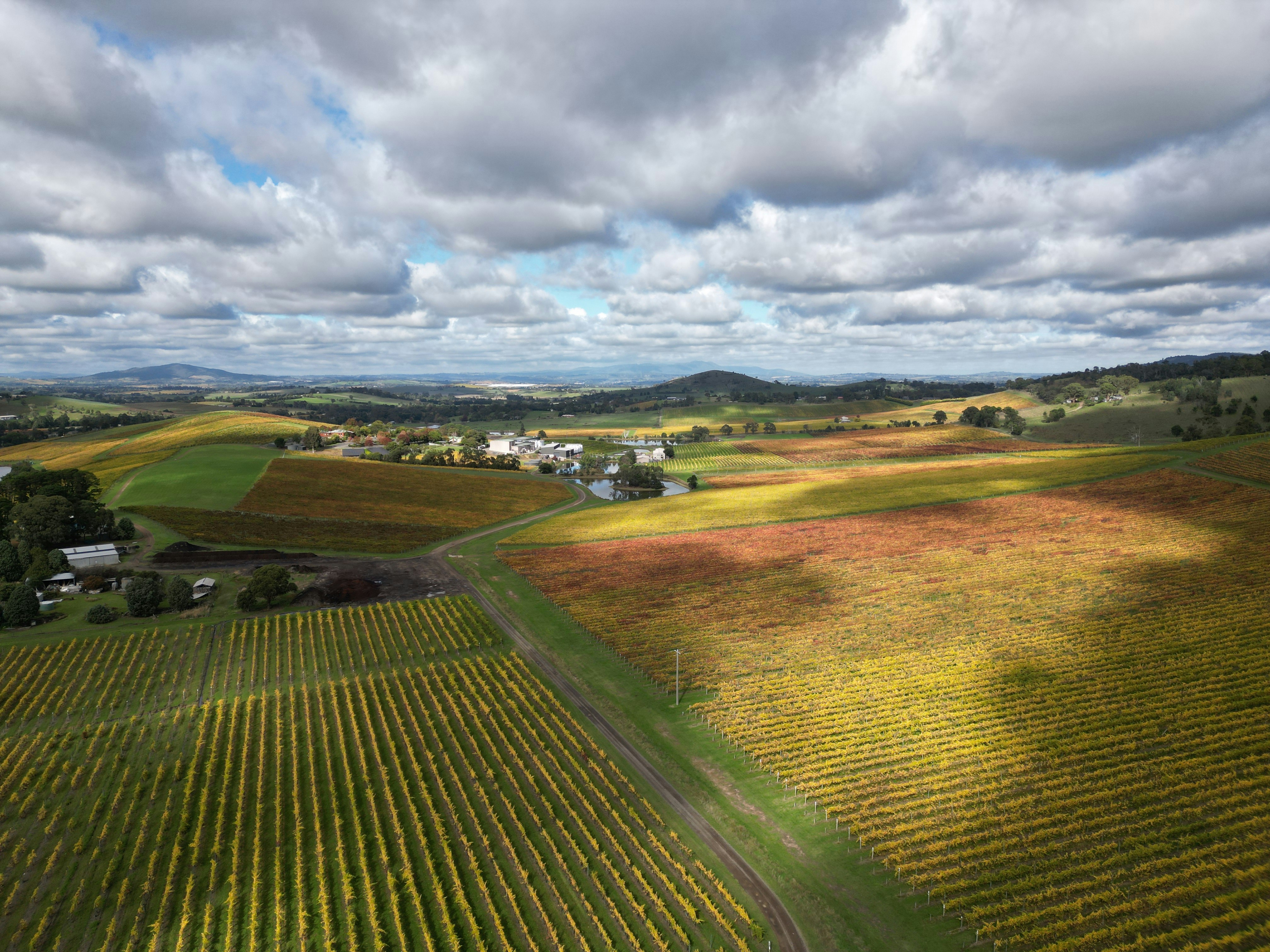 Photo by richard7seals