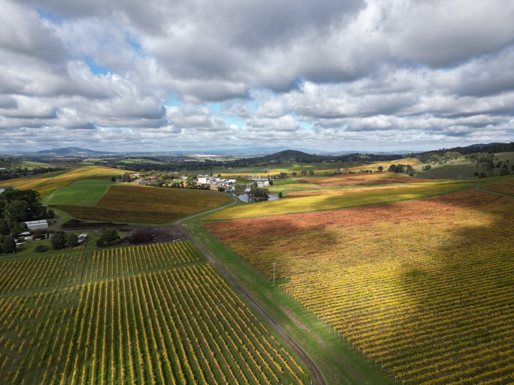 an aerial view of a farm with a road running through it