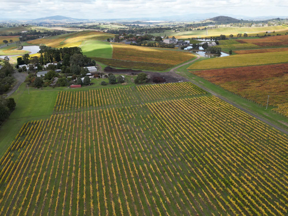 Aerial view of vineyards in Yarra Glen, Yarra Valley