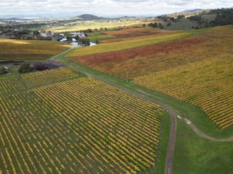 Scenic drive through Veneto countryside vineyards and rolling hills.