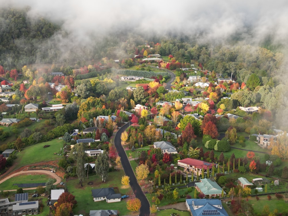 an aerial view of a town surrounded by trees