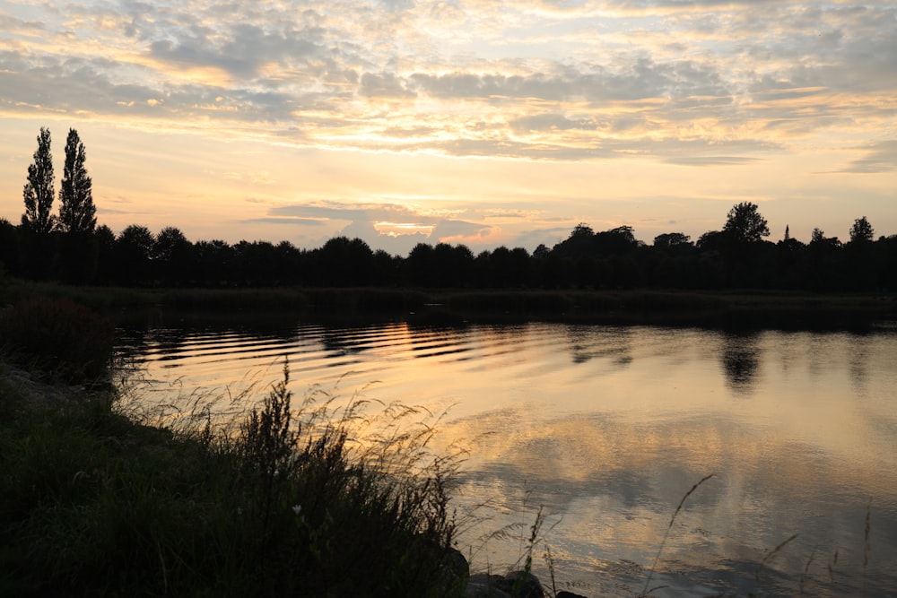 a body of water surrounded by grass and trees