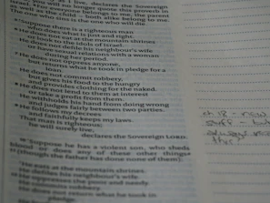 Close-up of a handwritten scripture verse on textured paper with a sprig of greenery casting a gentle shadow