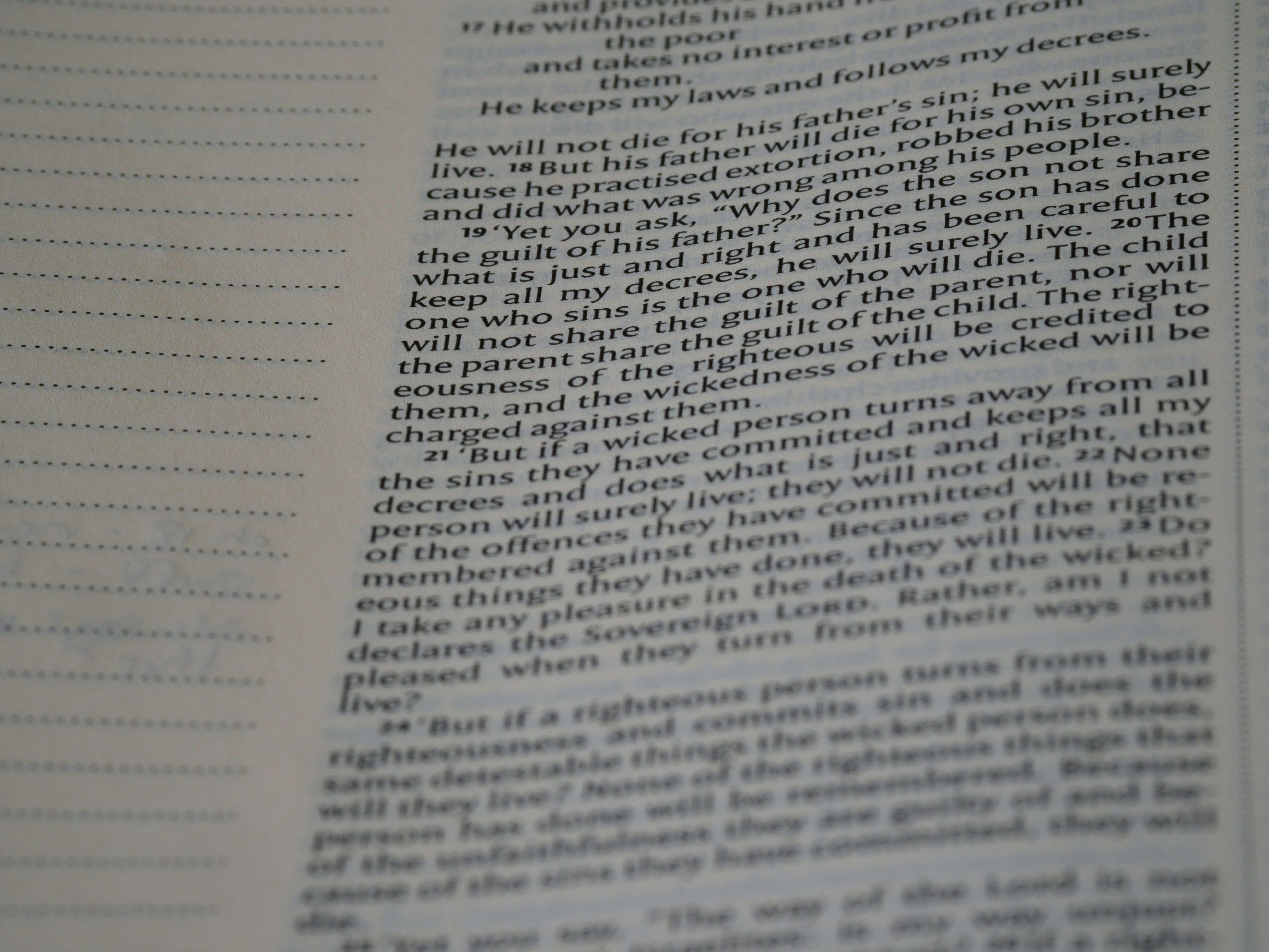 Photo by brett_jordan