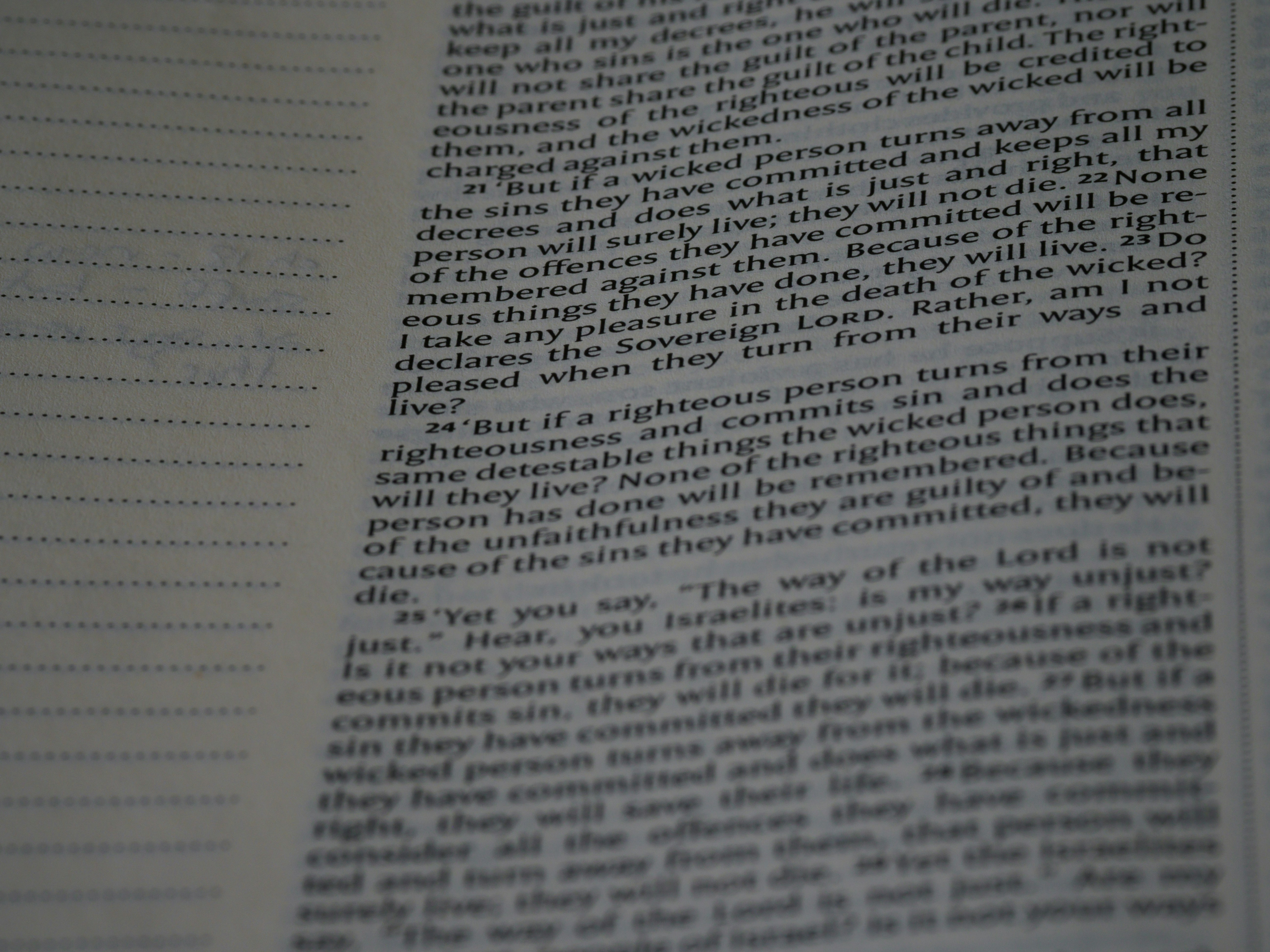 Photo by brett_jordan