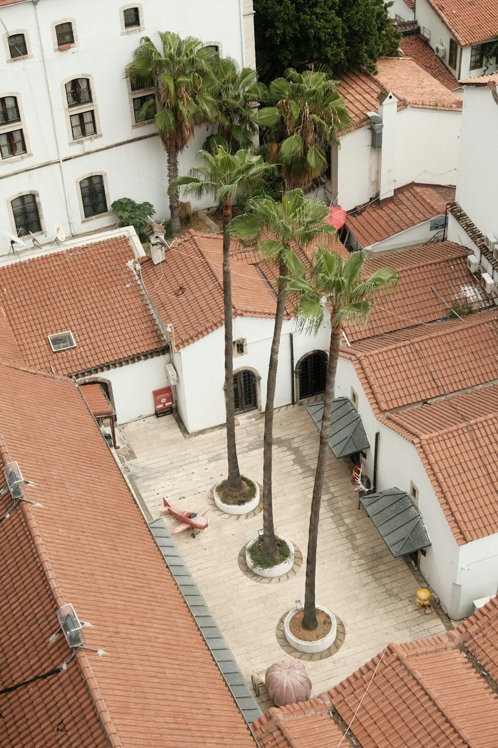 an aerial view of a building with a palm tree