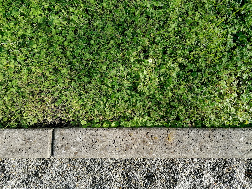 The image shows a close-up view of a concrete sidewalk running along the edge of a grassy area. The sidewalk is bordered by a gray curb, and the grass on either side appears to be lush and green. Scattered throughout the scene are small rocks in various shades of gray and brown.