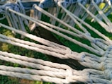 Several white ropes are tightly knotted together, creating a pattern with intersecting nodes. The background reveals patches of green grass and a wooden beam, suggesting an outdoor setting.