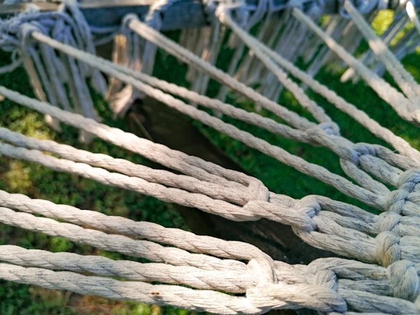 Participants practicing knot tying with ropes against a backdrop of tall pine trees.