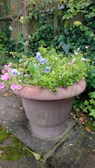 A rustic planter filled with blooming flowers, placed on a stone patio.