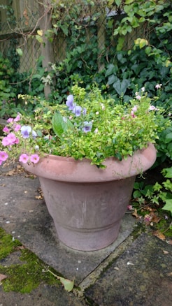 A large terracotta planter filled with a variety of colorful flowers and greenery is placed on a stone surface. The planter contains blooming flowers in shades of pink, purple, and light blue, surrounded by lush green foliage. In the background, there is a wooden fence with climbing plants and ivy, creating a natural and serene garden setting.