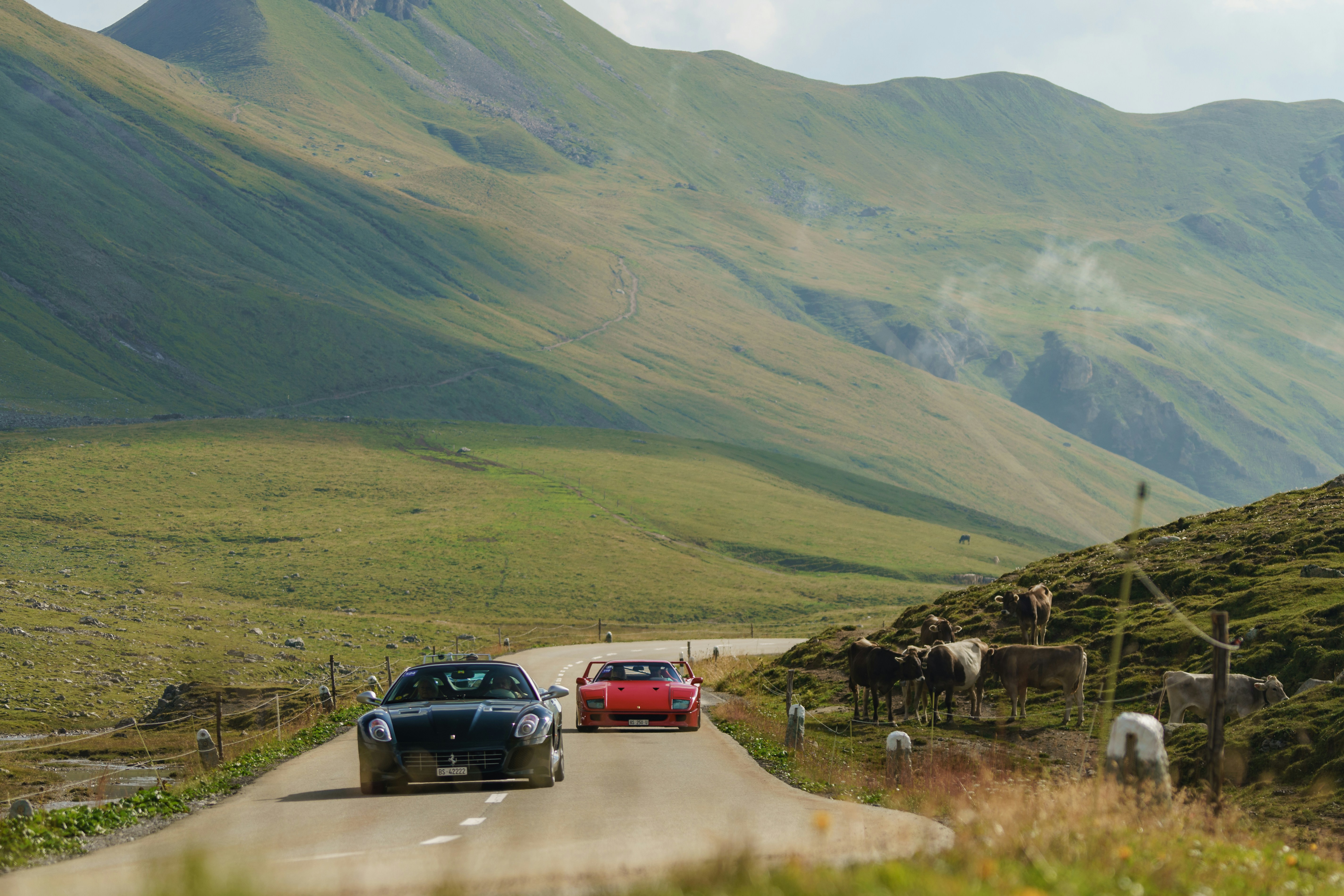 a couple of cars driving down a country road