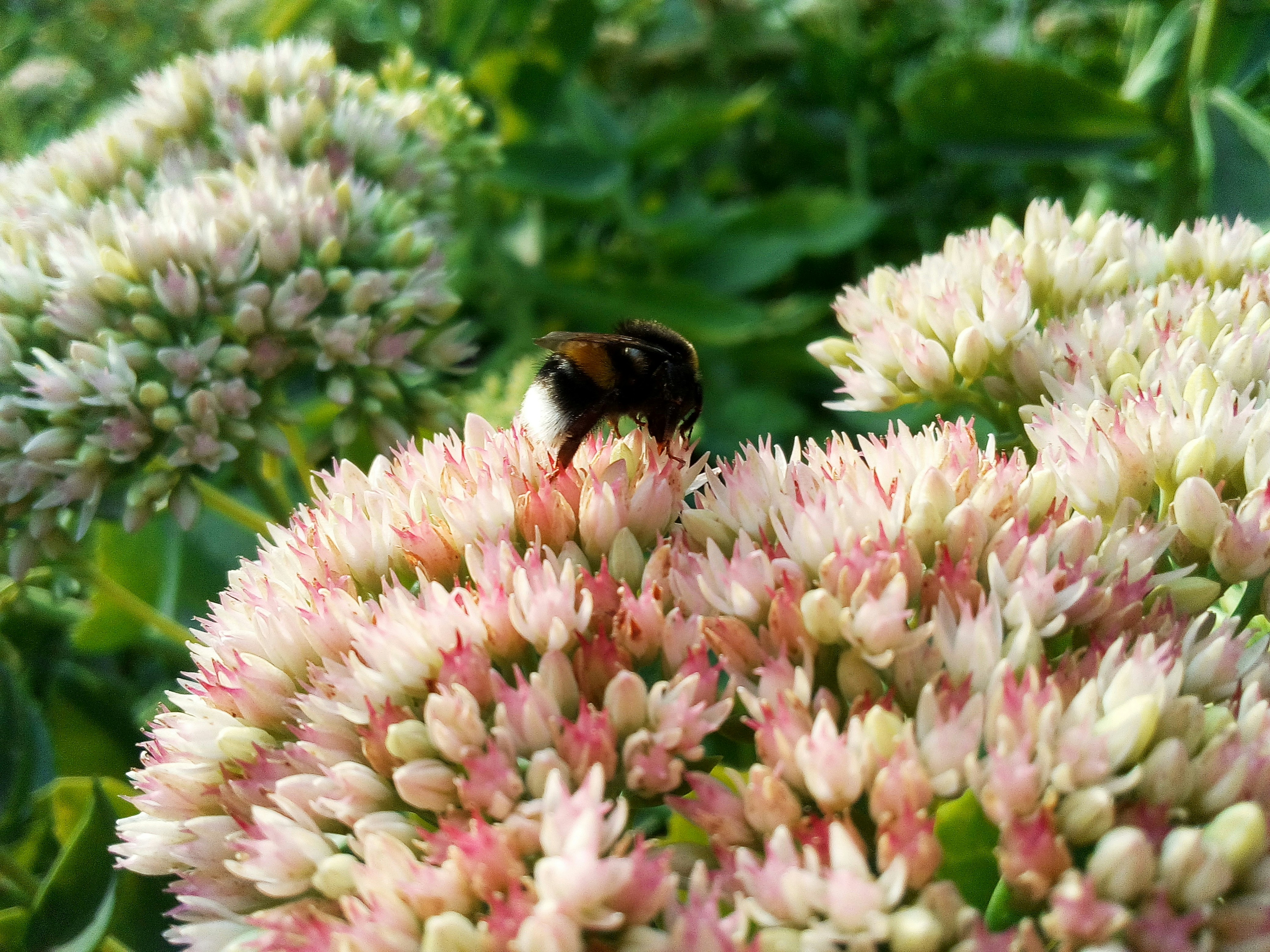 Photo by dmitry_burdakov