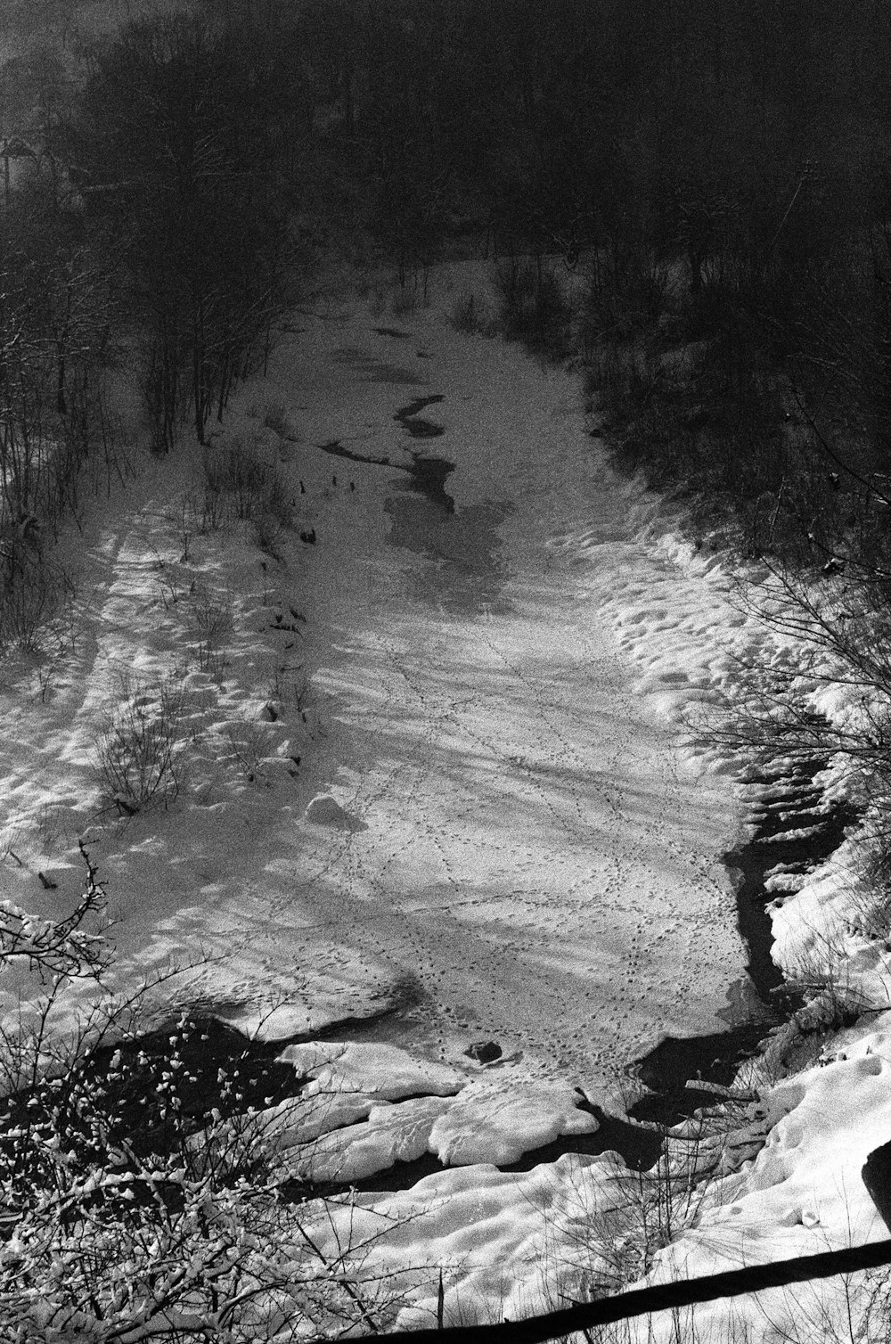 a black and white photo of a snow covered path