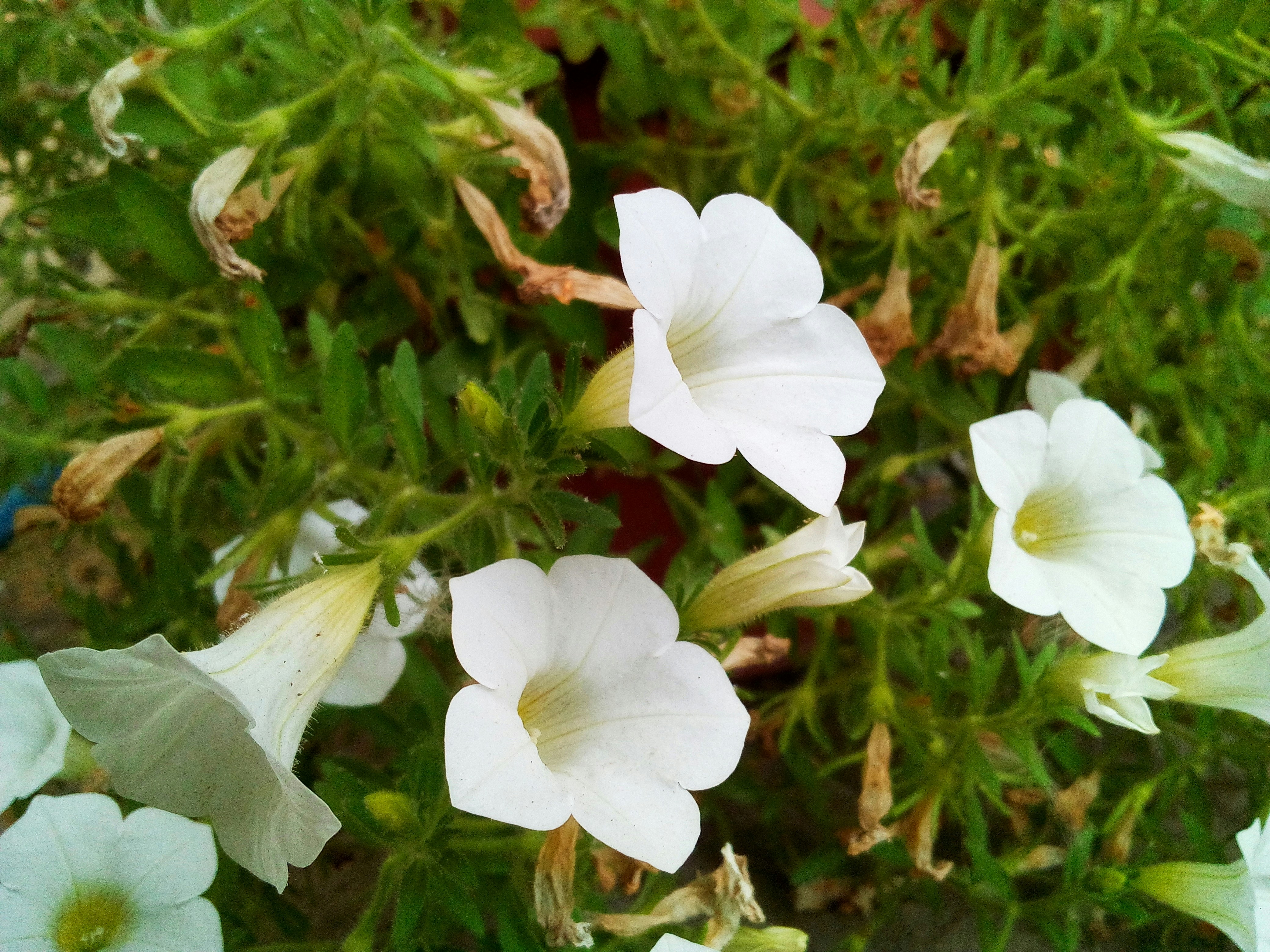 Photo by dmitry_burdakov