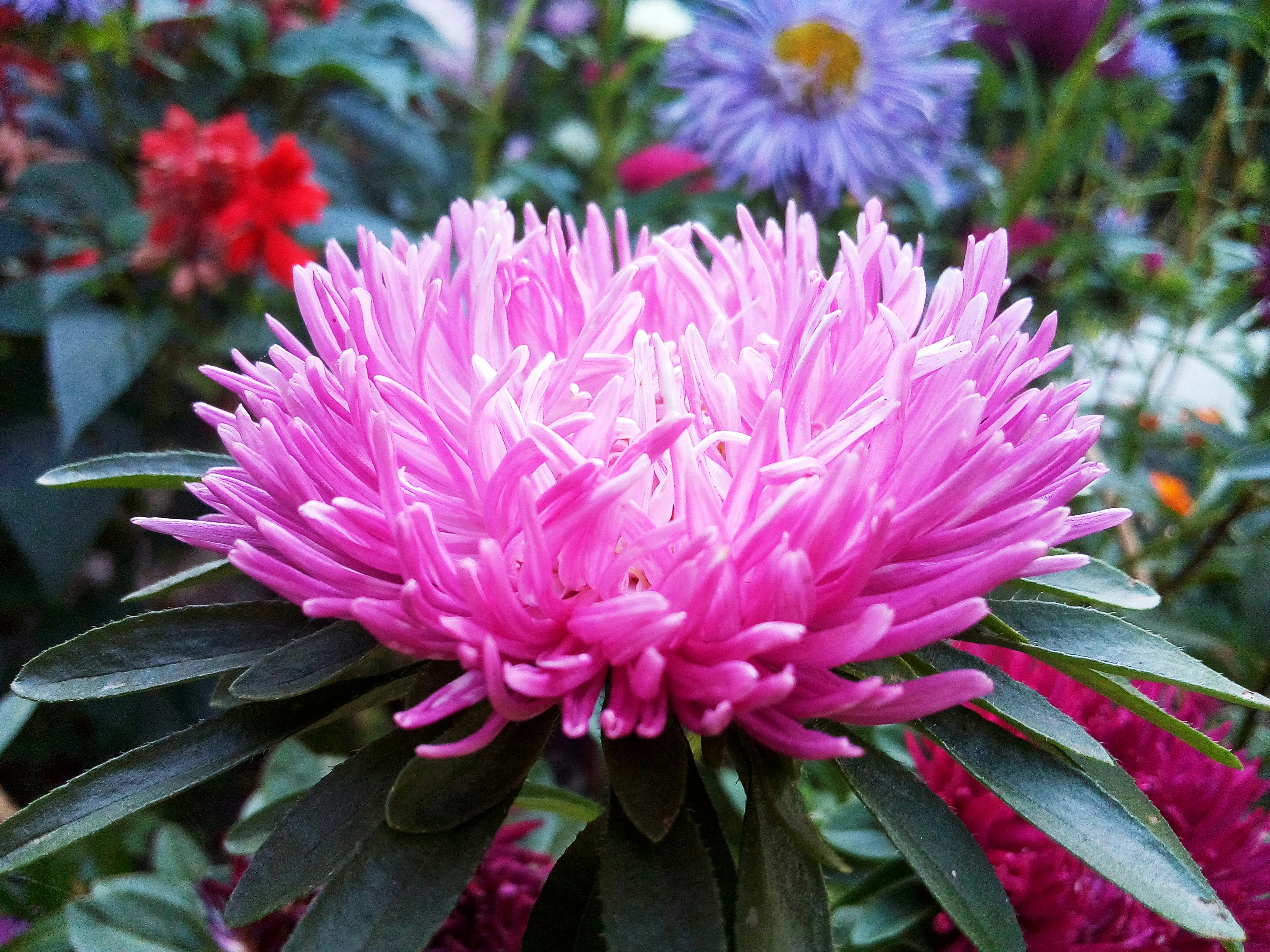 Photo by dmitry_burdakov