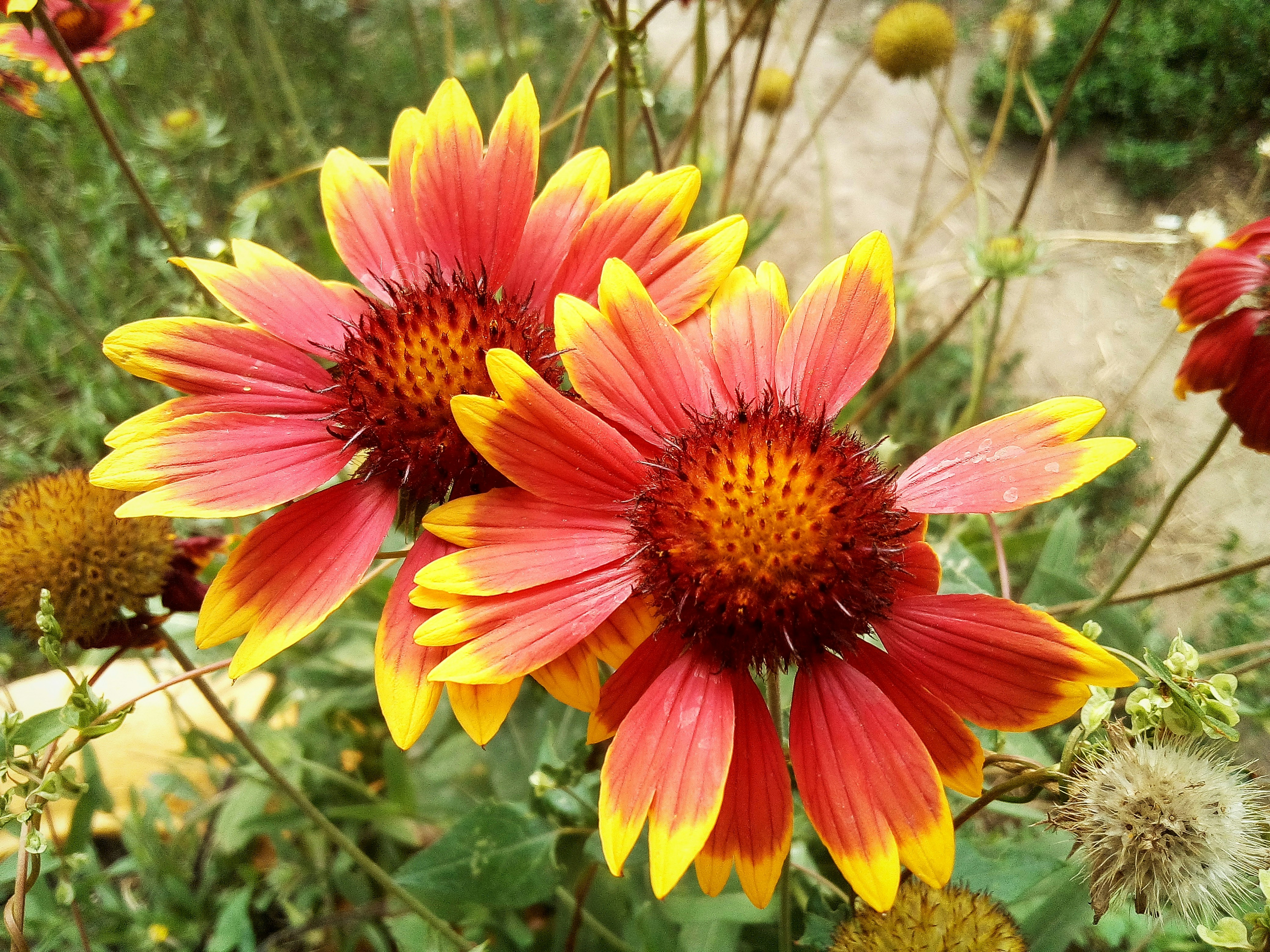 Photo by dmitry_burdakov