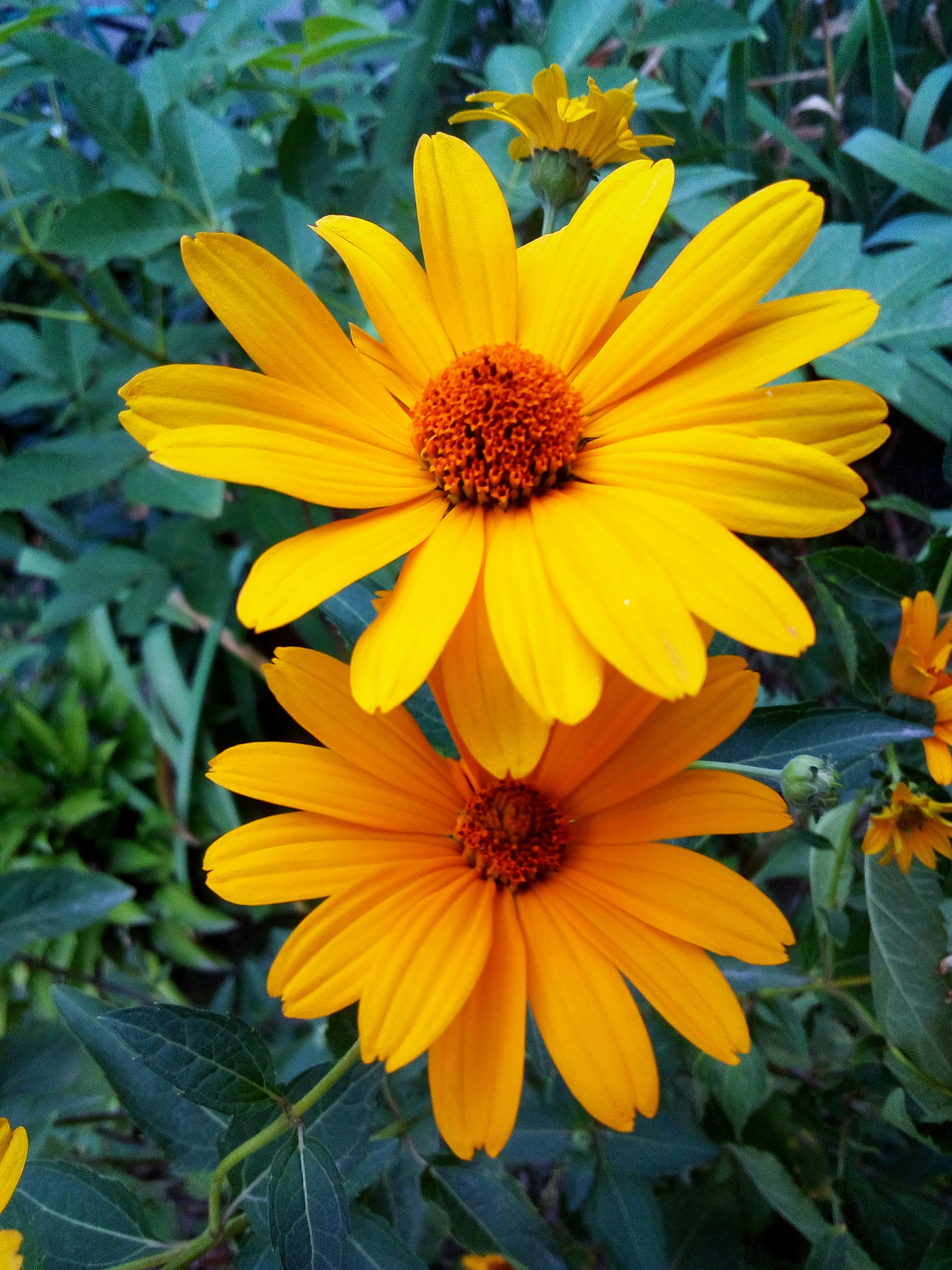 Photo by dmitry_burdakov