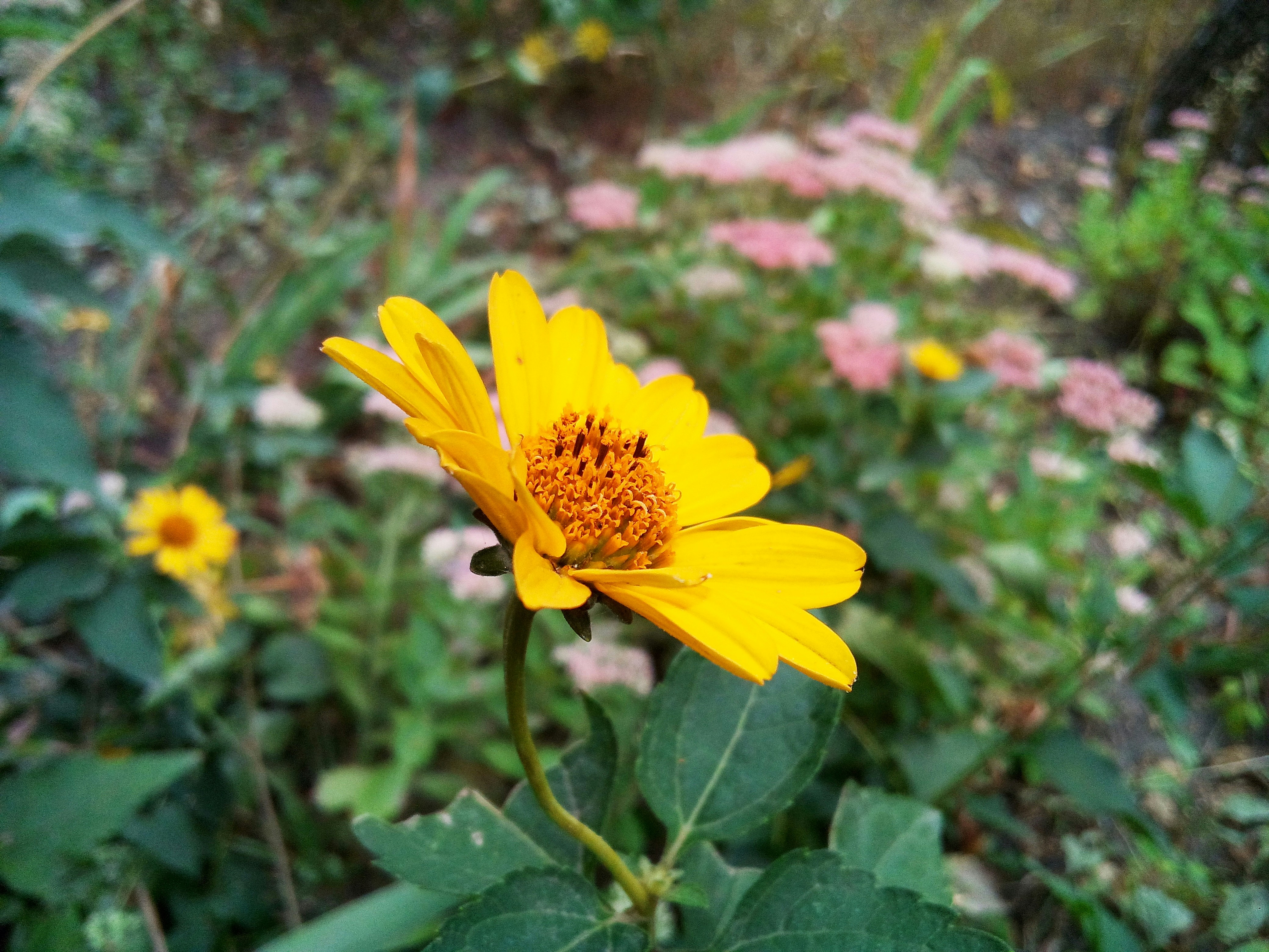 Photo by dmitry_burdakov