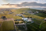 A landscape view of a vineyard sprawling across gently rolling hills under a partly cloudy sky. The vineyard is divided into neatly arranged rows of grapevines, with a few buildings scattered around, including a large white house encircled by trees.