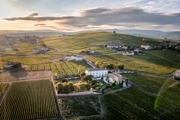 Mâcon Travel: Exploring the Hidden Gems of France