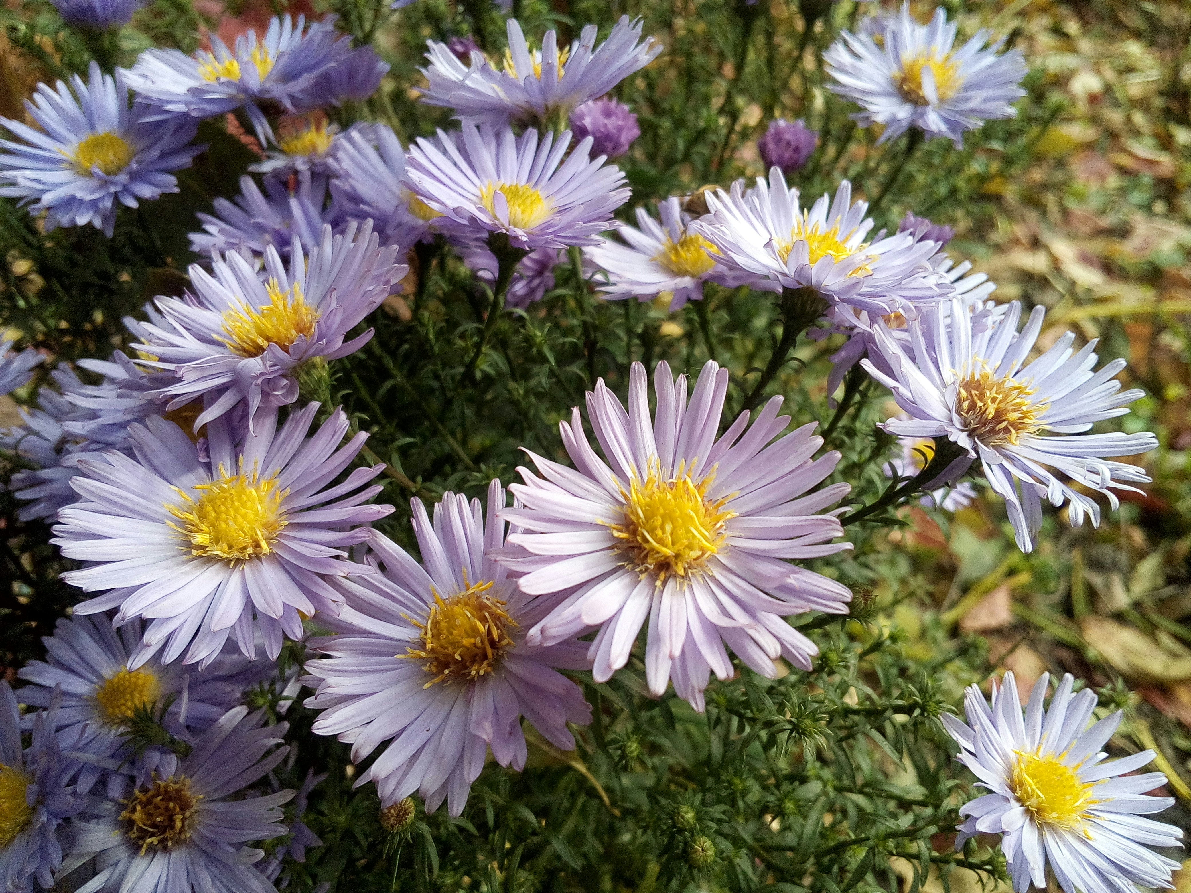 Photo by dmitry_burdakov