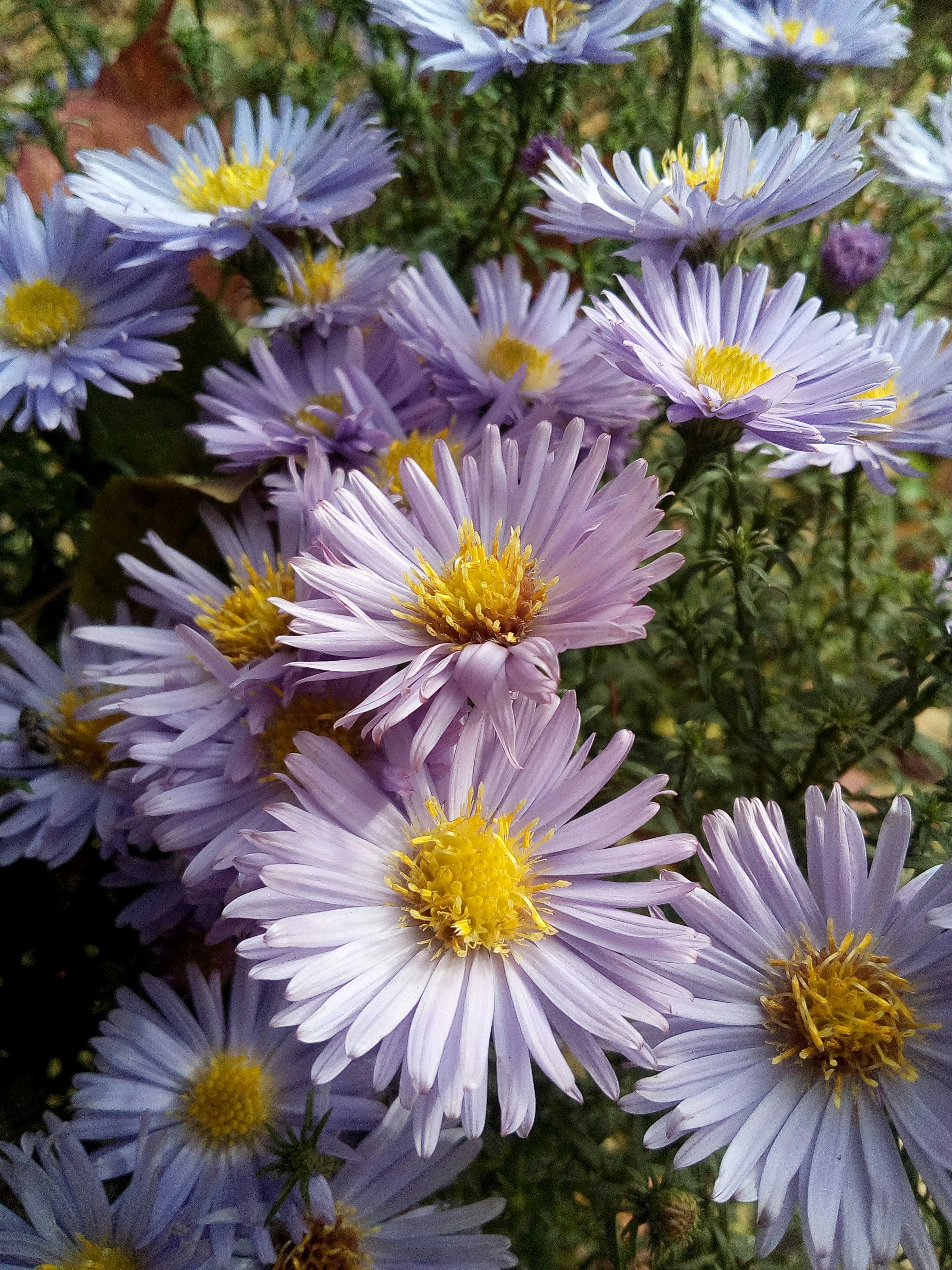 Photo by dmitry_burdakov