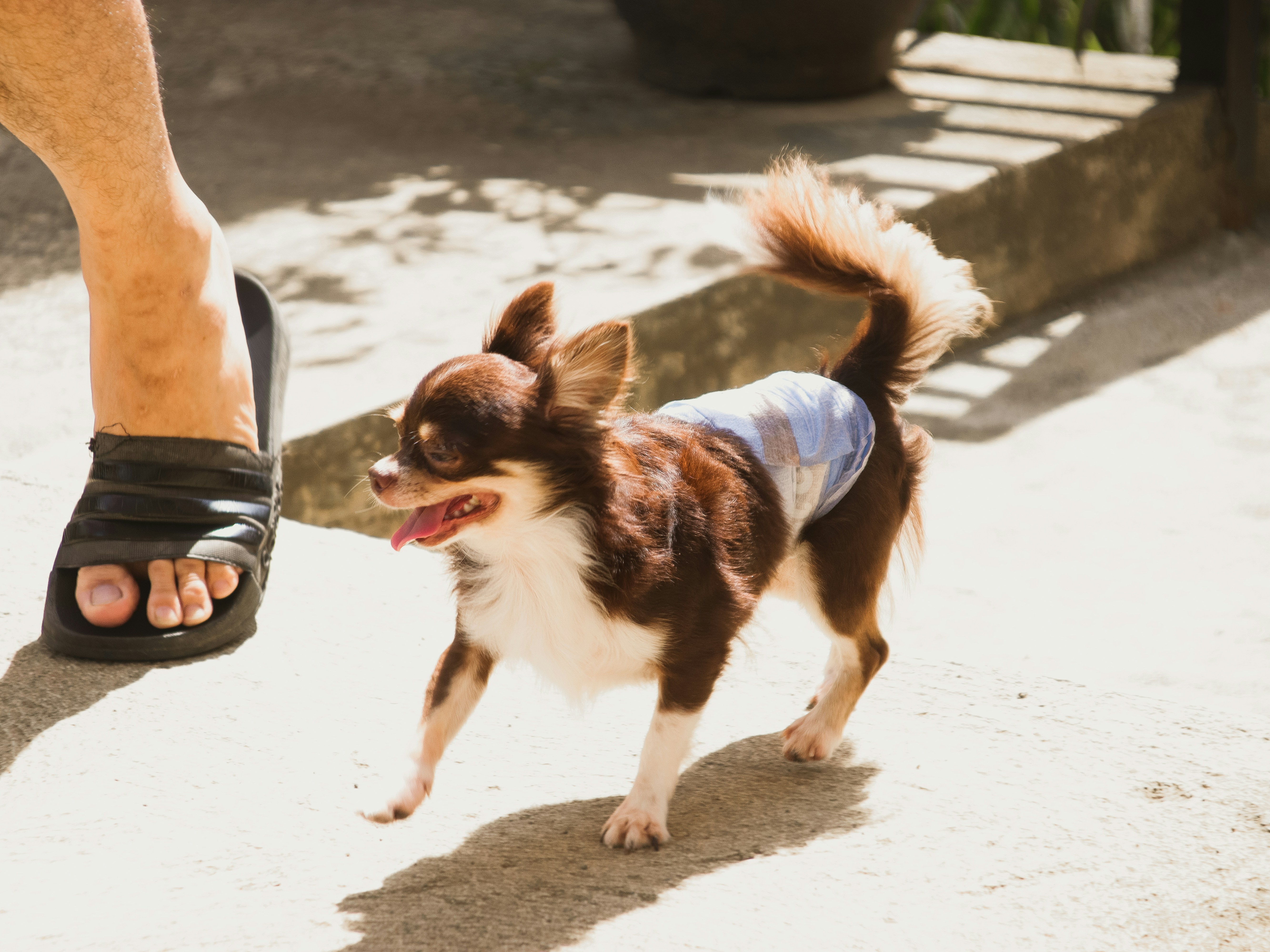 Photo by bhongbahala10