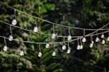 Several strings of hanging light bulbs are suspended outdoors against a lush green background of dense foliage and trees.