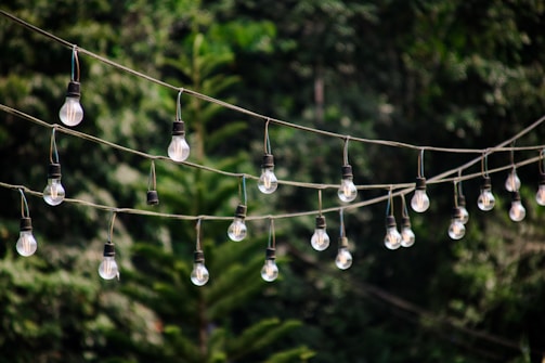 Several strings of hanging light bulbs are suspended outdoors against a lush green background of dense foliage and trees.