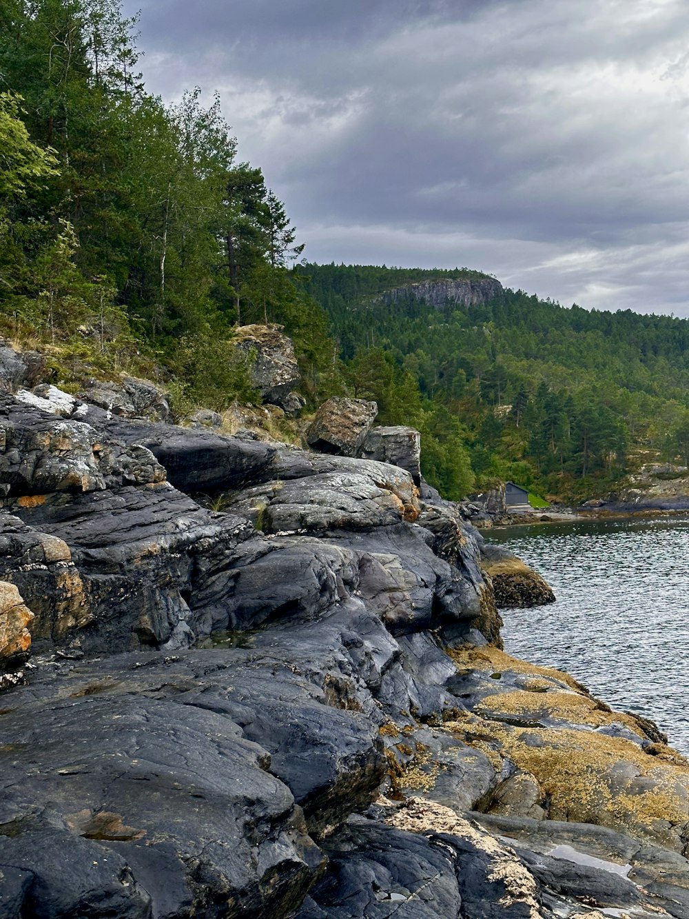 a large body of water surrounded by rocks