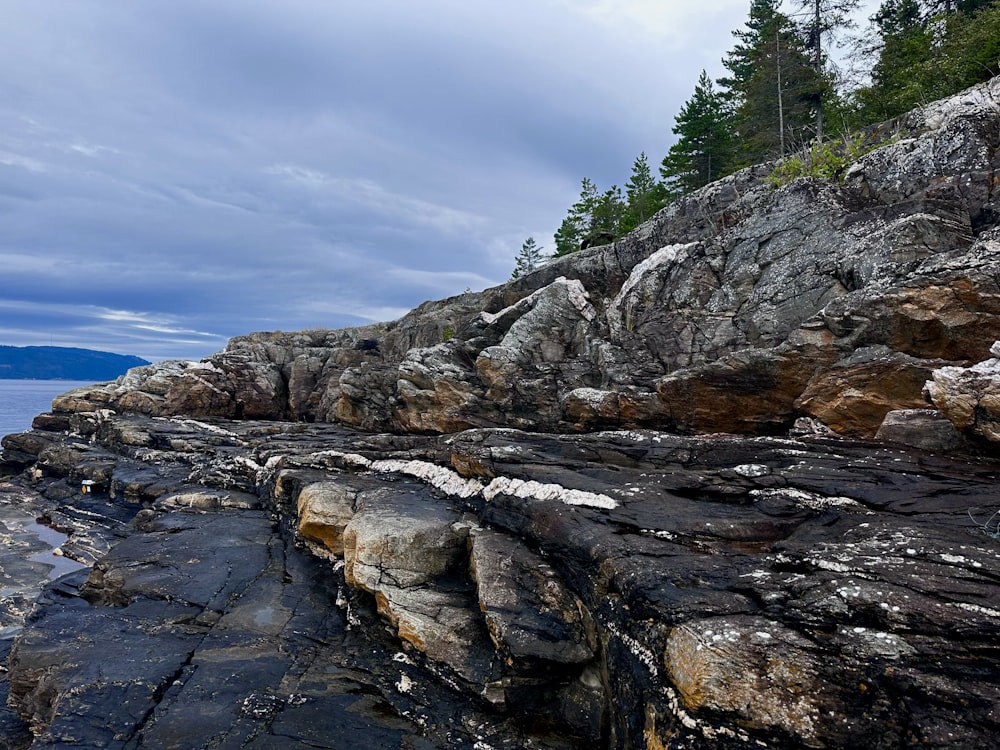 a rocky shoreline with a body of water in the distance