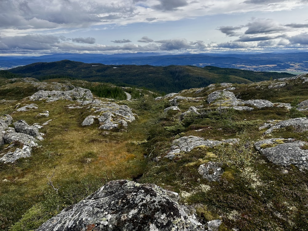 a view of a grassy area with rocks and grass