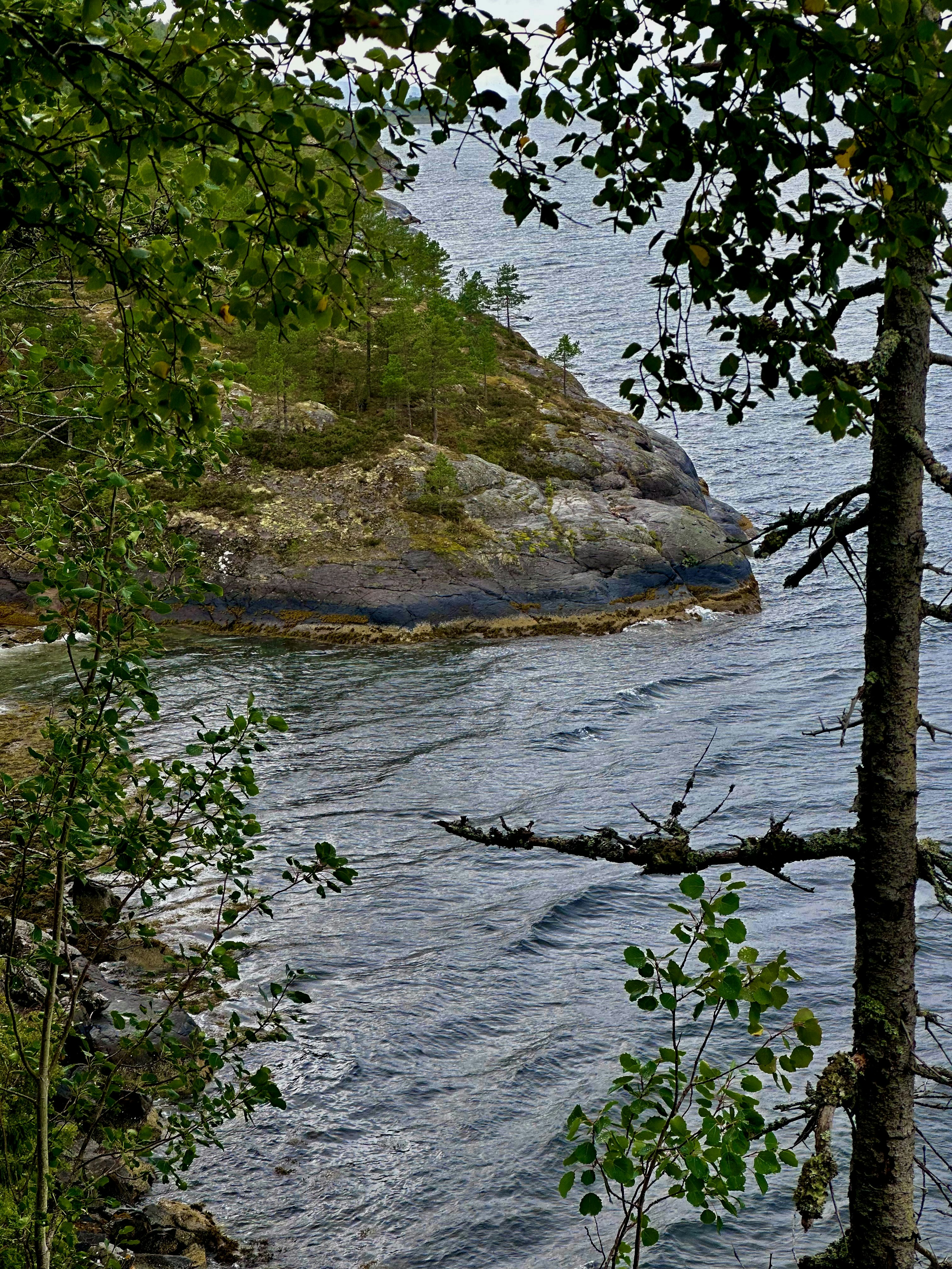 Photo by tyaglovsky