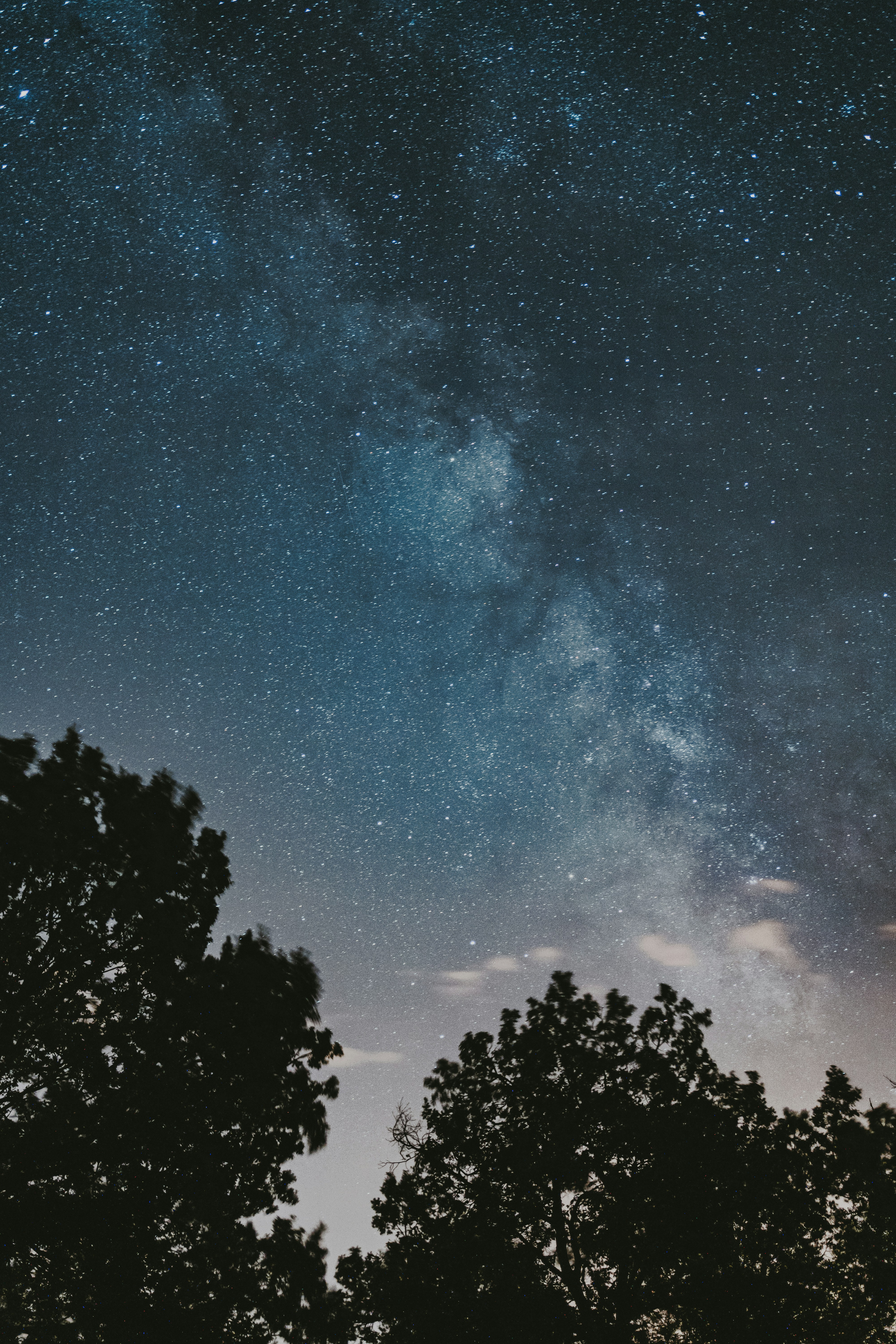 Ursiden-Maximum 2023: Ein spektakuläres Himmelsschauspiel erwartet uns