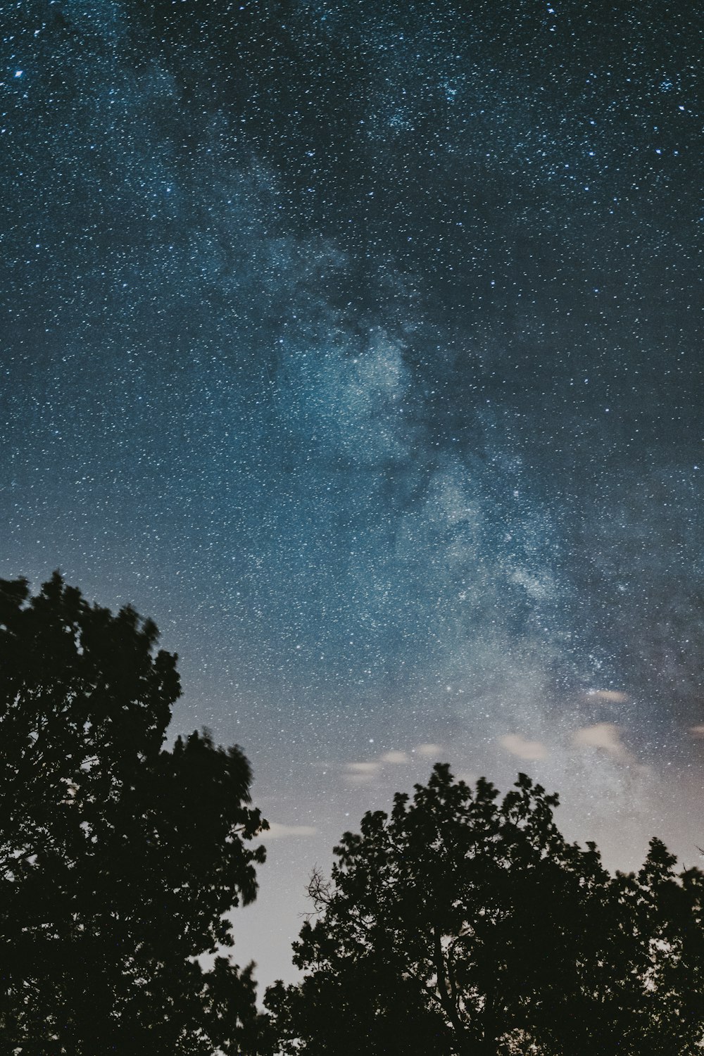 the night sky is filled with stars and trees