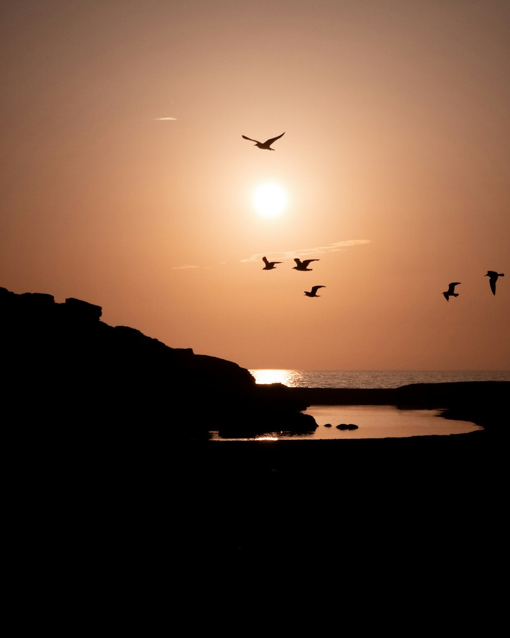 a flock of birds flying over a body of water