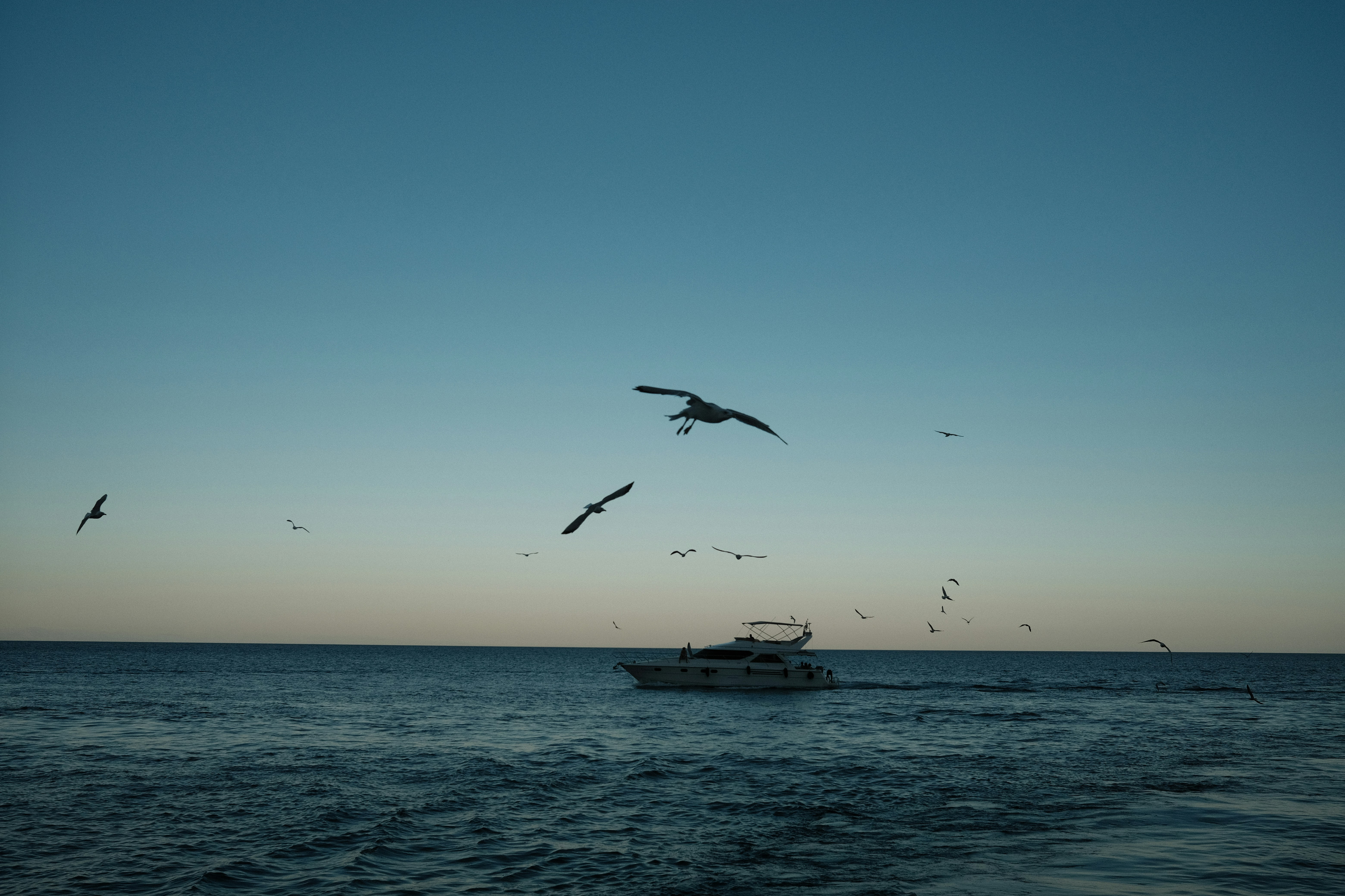 Photo by zapiatkina