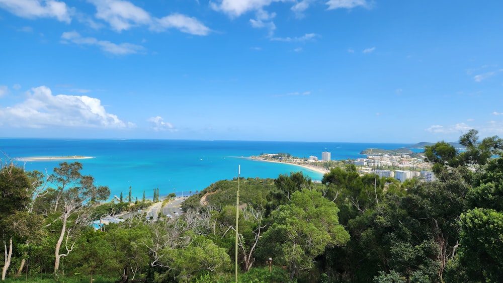 a view of the ocean from a hill