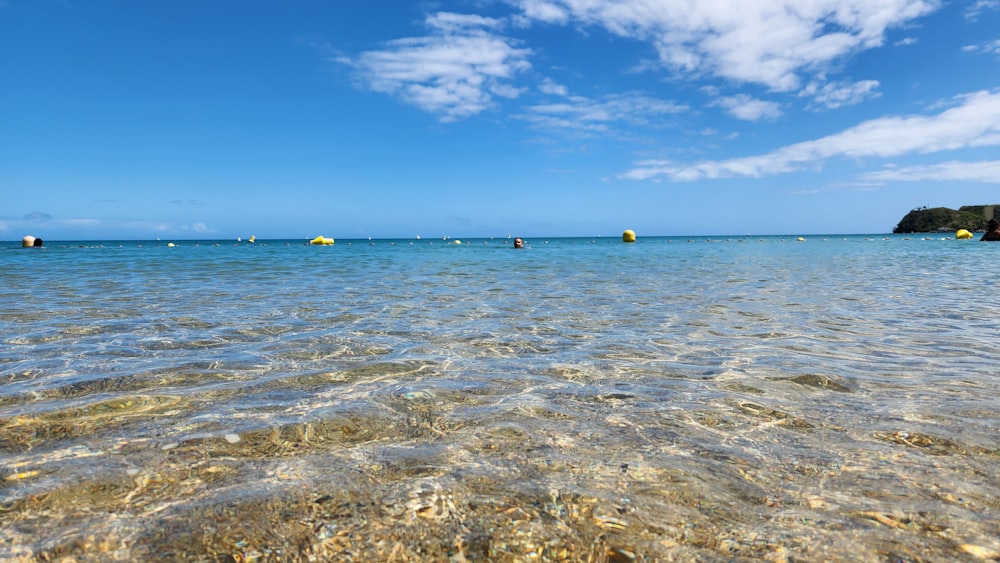 a body of water with a bunch of boats in it