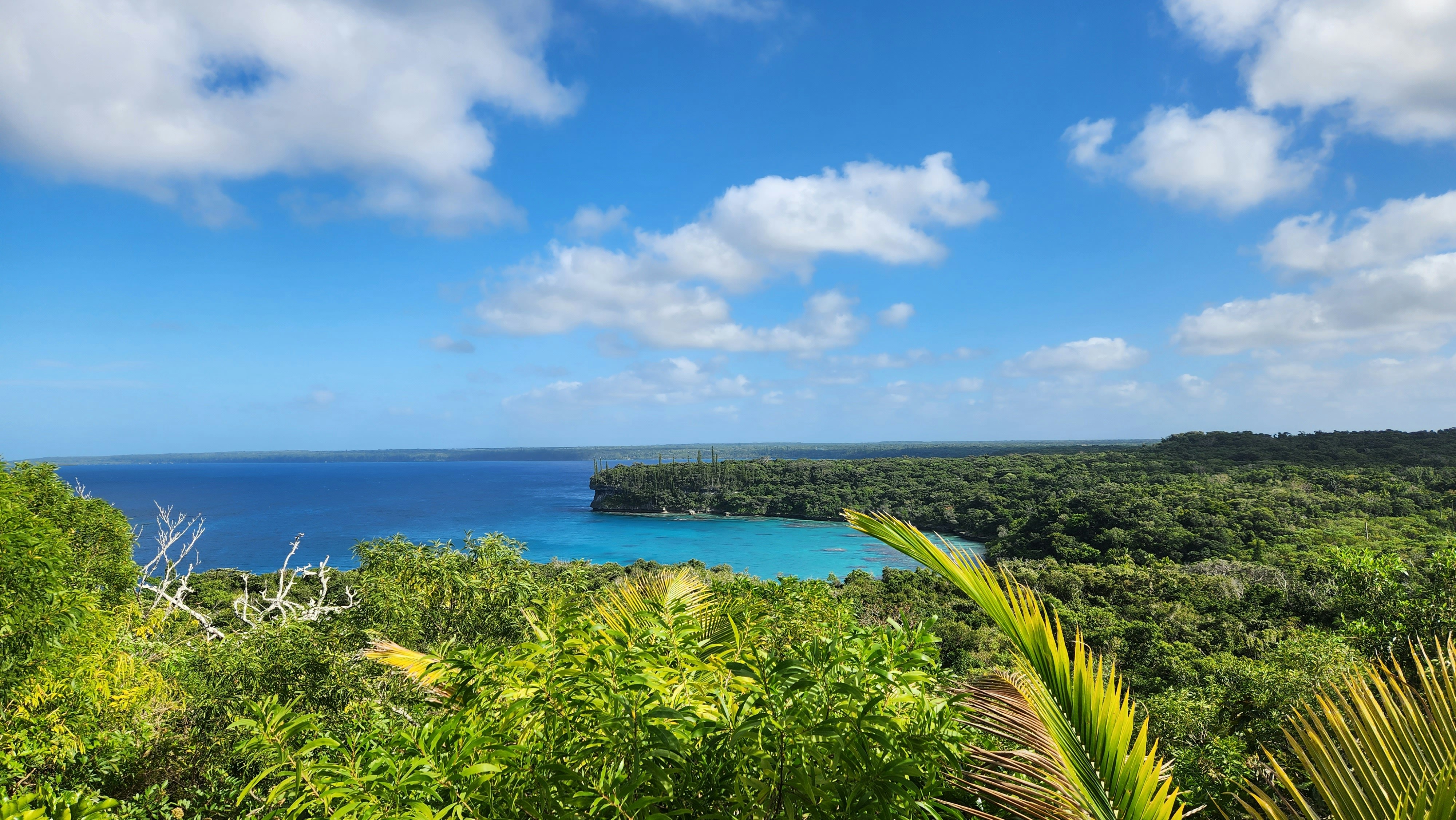 a view of the ocean from a hill top
