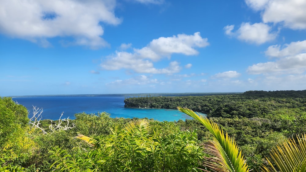 a view of the ocean from a hill top