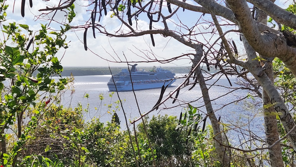 a large cruise ship in the water near some trees