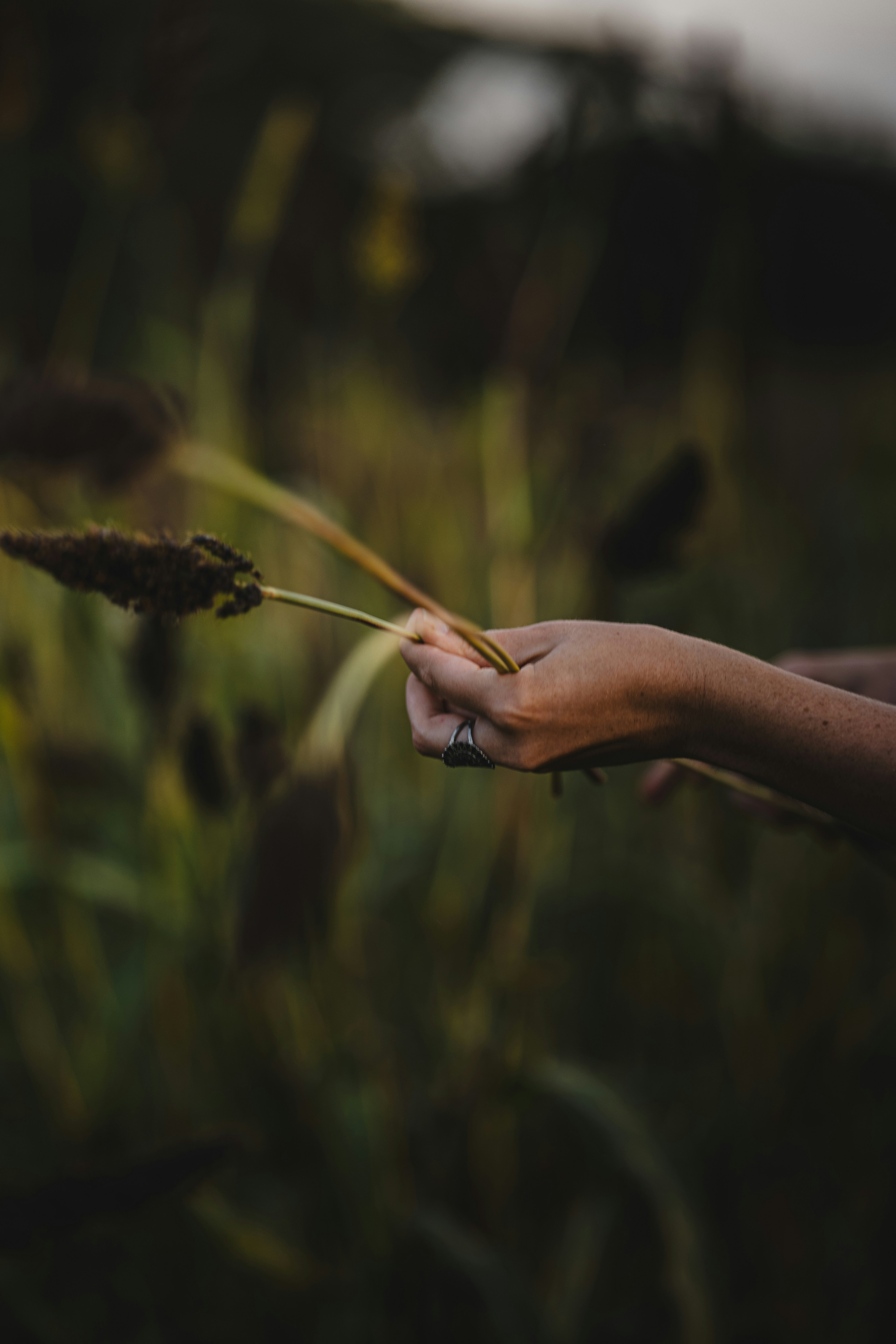 Photo by elmartinbaron