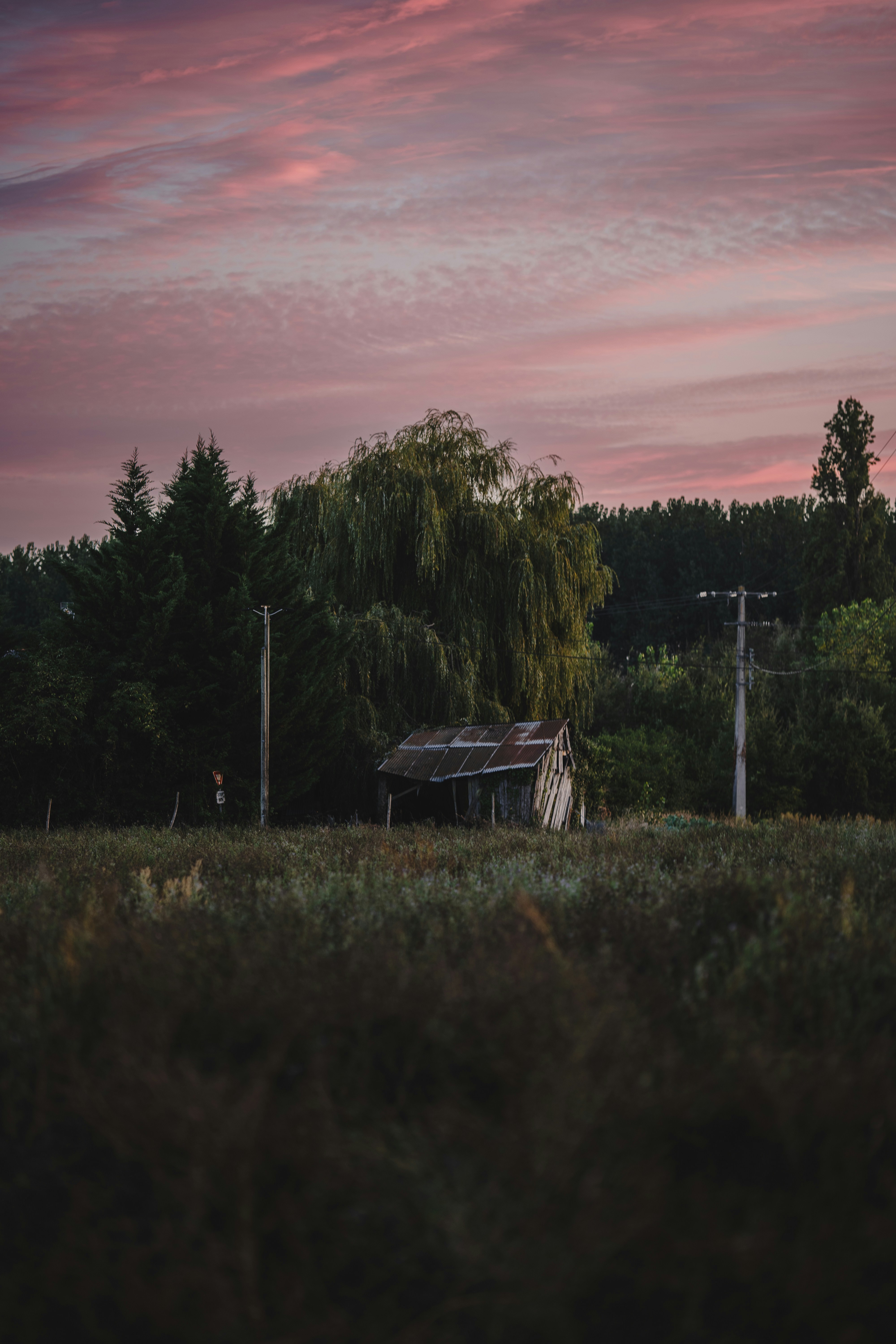 Photo by elmartinbaron